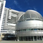 San Jose City Hall needs to move to a strong-mayor form of government, Rich Robinson argues.