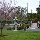 San Jose's Japanese Friendship Garden at Kelley Park. (Photo by Oleg Alexandrov, via Wikimedia Commons)