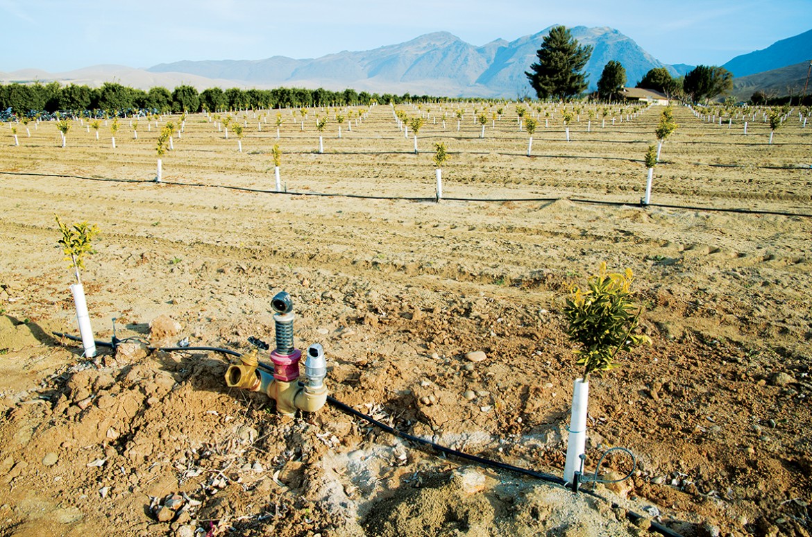 Cheap Water for Agriculture Worsens California Water Crisis San Jose
