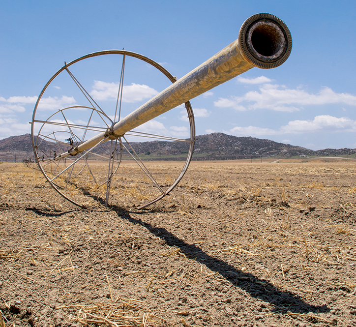 While nut exports help the balance of trade, the use of groundwater could put the state at risk for future droughts.