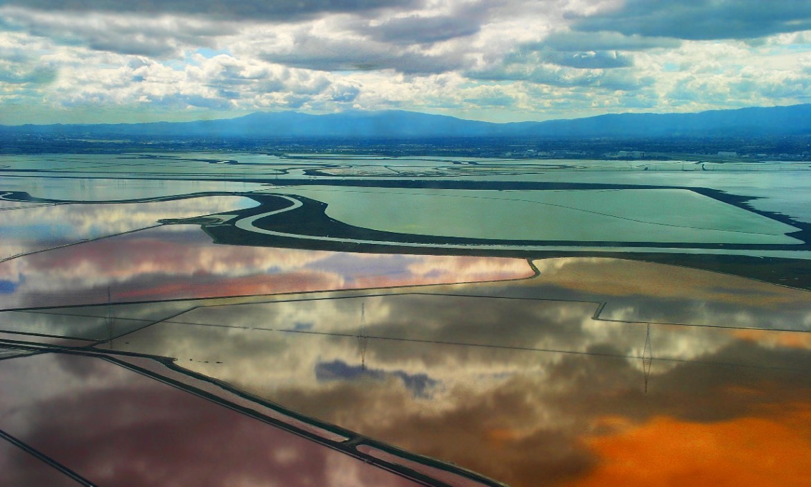 The South Bay salt ponds. (Photo by the State of California Coastal Conservancy)