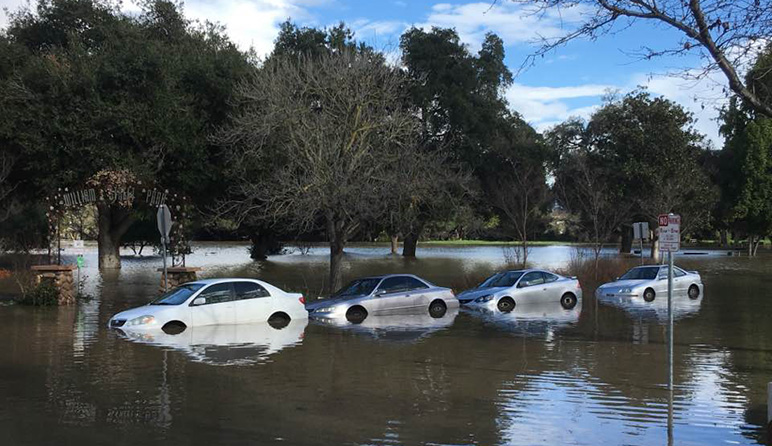 Williams Street Park on Tuesday, Feb. 21. (Photo by Ted Smith, via Facebook)