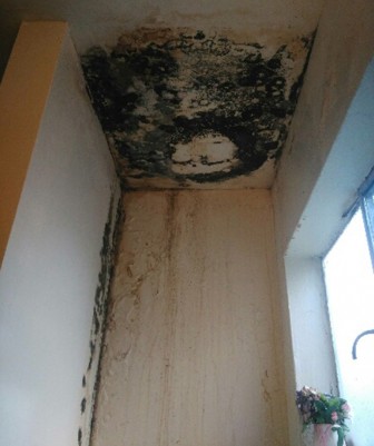 Mold in the bathroom two months after Katherine's initial mediation hearing. (Photo by Ly Huang)