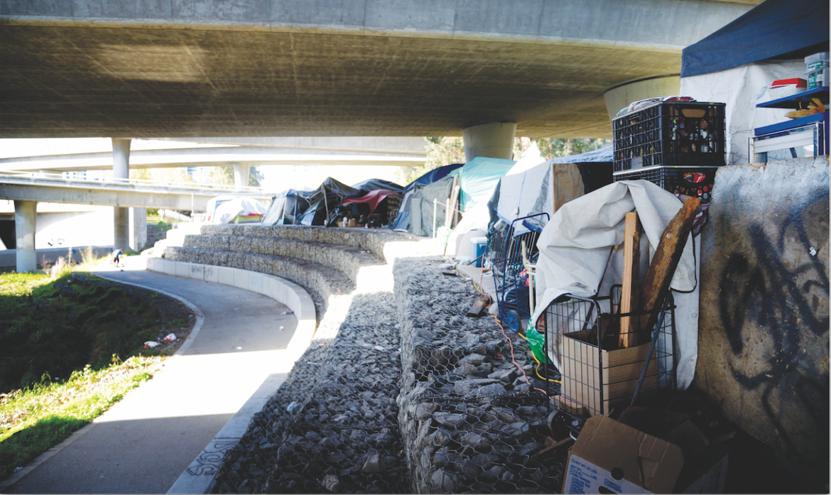 Image for display with article titled Latest Homeless Count Shows Decrease, with More Sheltered