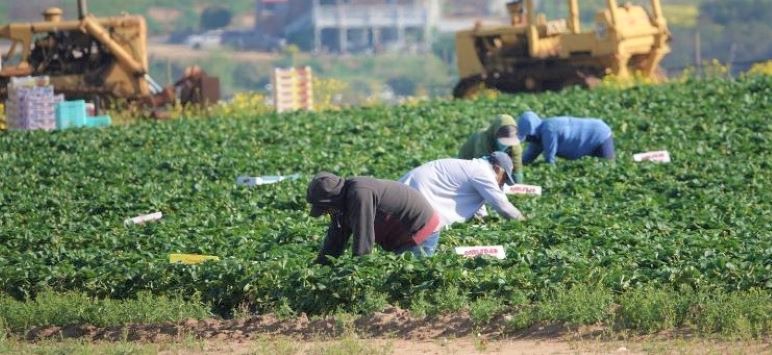 Image for display with article titled As US Tightens Welfare Work Rules, California Legislators Move to Loosen Them