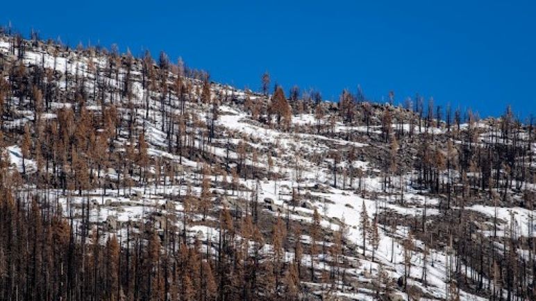 Body of San Jose State Student, a 21-year-old Ski Instructor, Found Thursday at Tahoe Resort