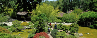 Hakone Gardens in Saratoga